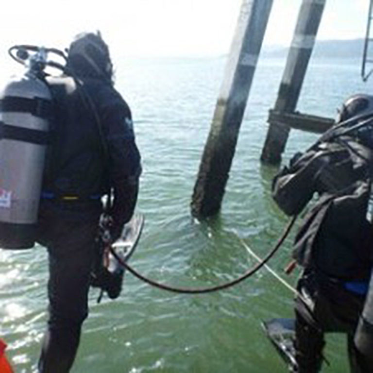 Divers jumping into site study