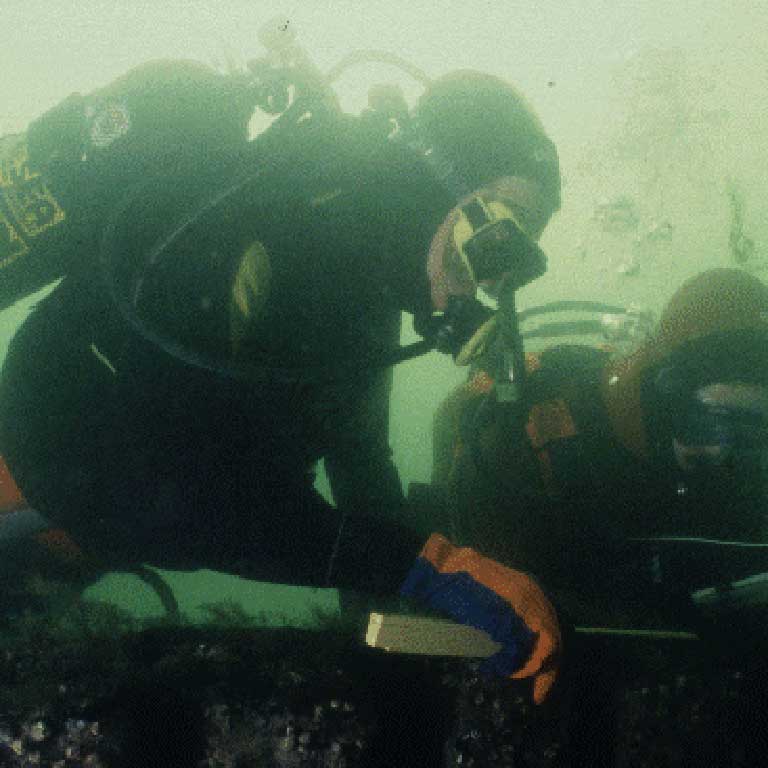 Fort Bragg Outfall Dive
