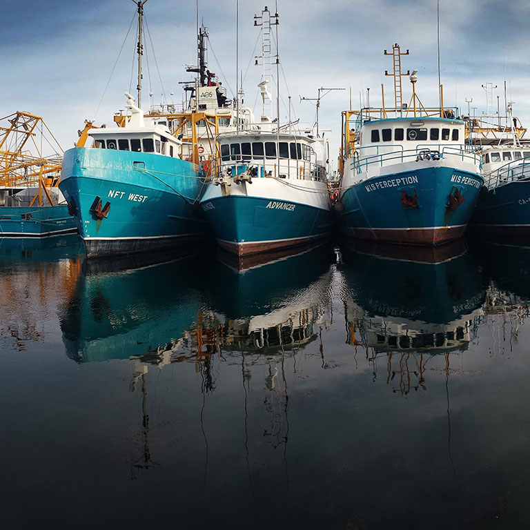 Several fishing vessels docked in a harbor